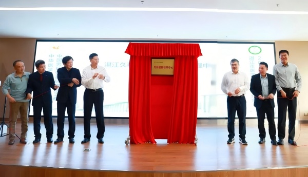 ���Խ�����������